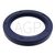 Radiální těsnicí kroužek