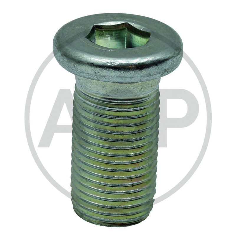 Pravý šroub pro výsevní disk pro Horsch Maistro, Pronto M16 x 1,5 x 30