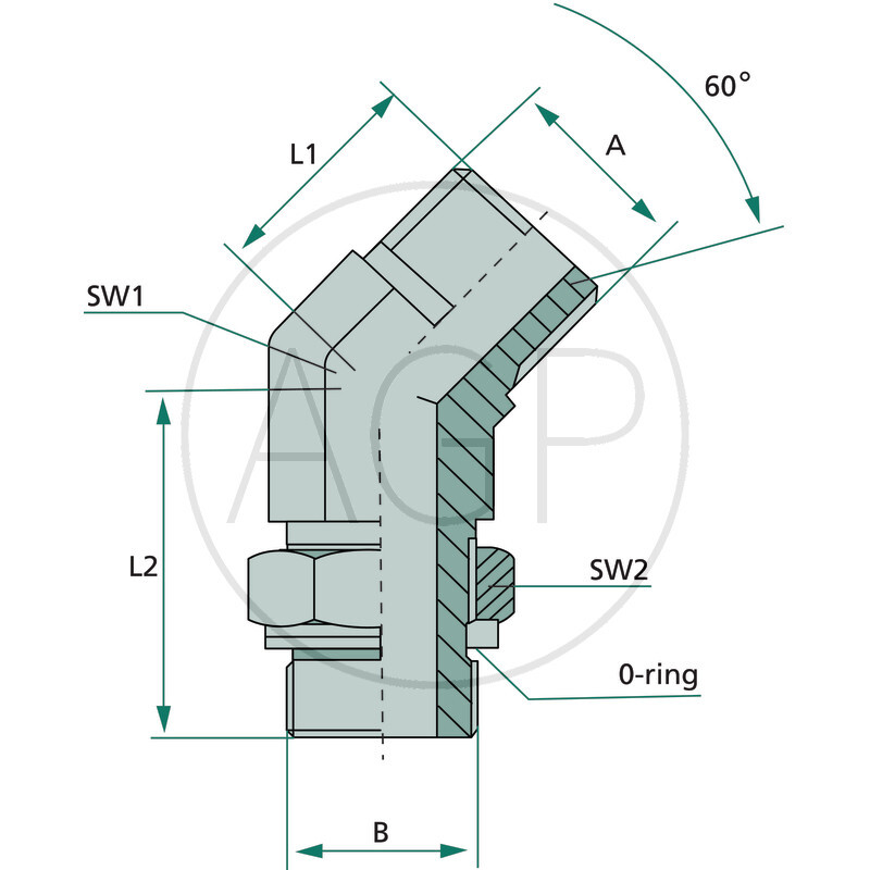 WAE 1/8 M-BSP x 1/8 M-BSP 45°