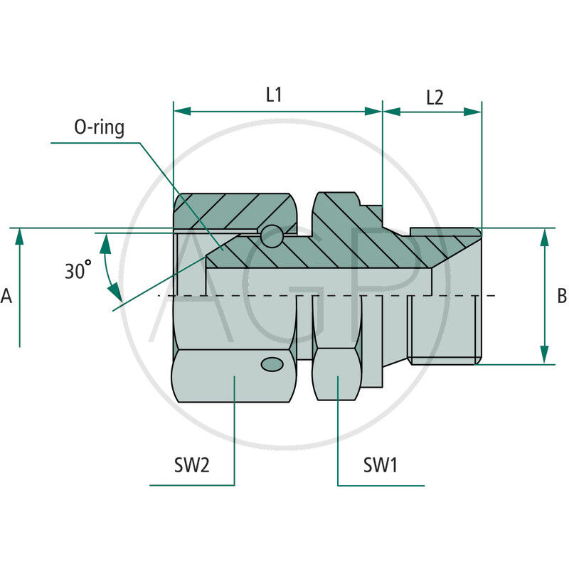 GA 1/2 FS-BSP x 1/2 M-BSP WD