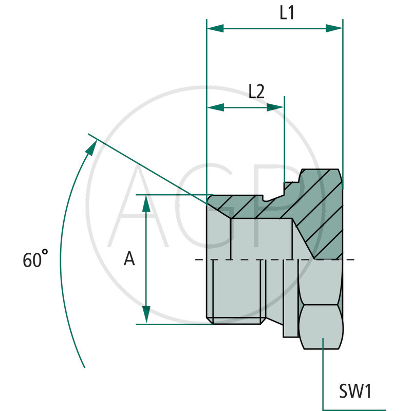 EV 2 M-BSP