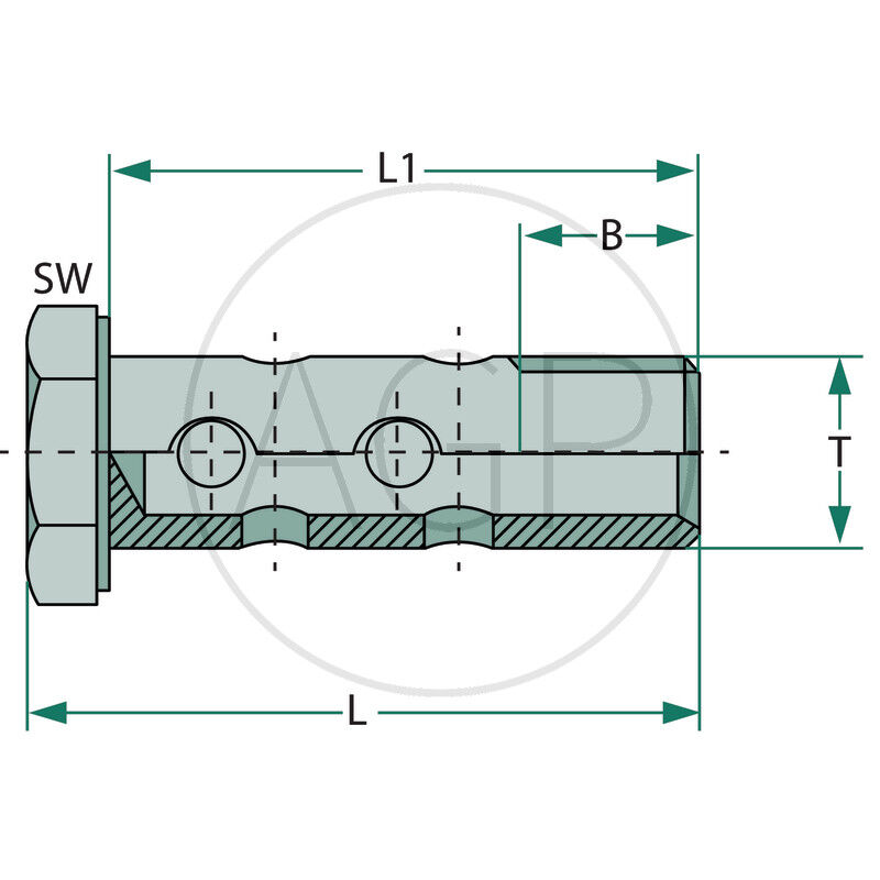 HSMD M30 šroub se dvěma dutinkami