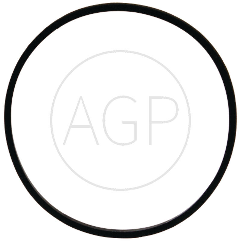 Těsnění pro Briggs & Stratton, s vnějším Ø 52 mm, vnitřním Ø 48 mm