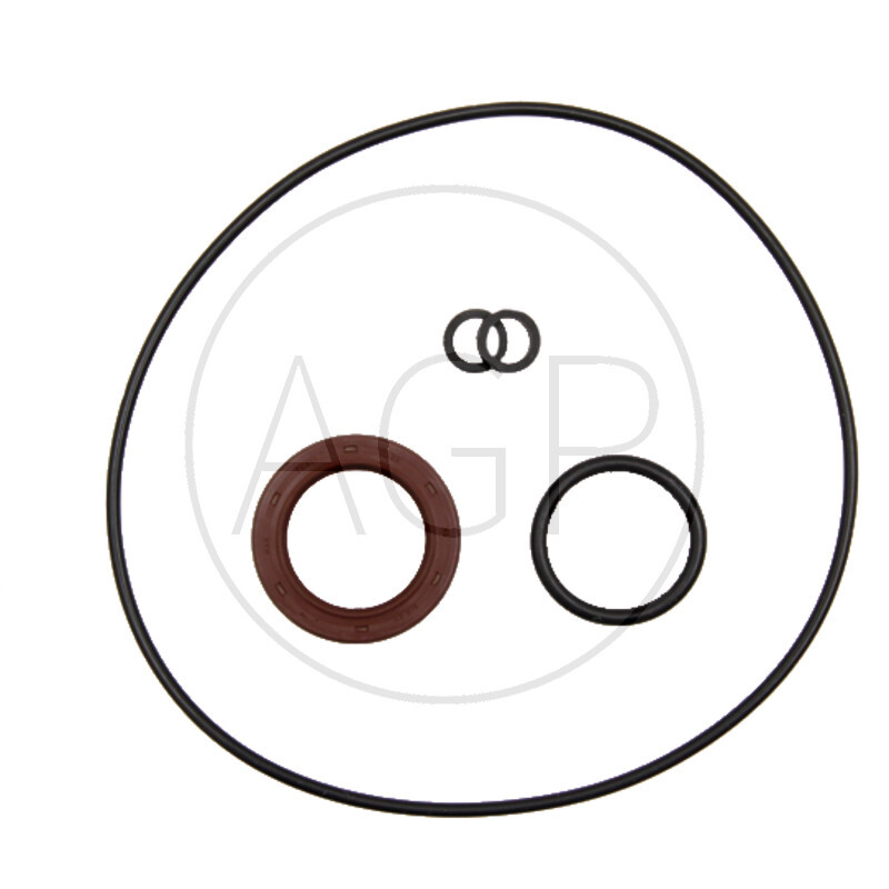 Sada těsnění pro hydraulické čerpadlo Massey Ferguson