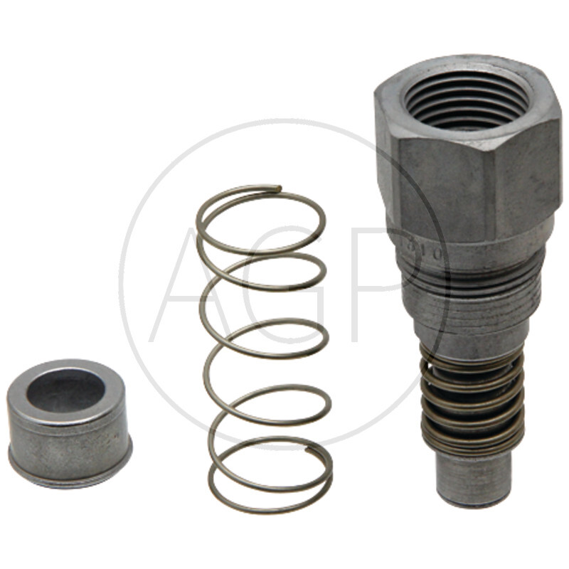 Samice vnitřní závit 1/2 DN 06 zinek-nikl