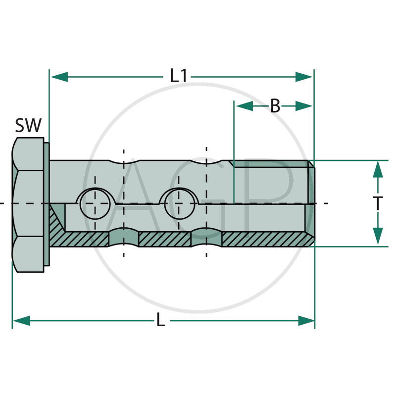 HSMD M10 šroub se dvěma dutinkami
