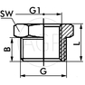F-R-2-1?-MSv Redukce šroubení, vnější závit kónické