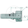 PN 25 DKOS M36x2.0 (25S)
