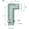 WAXL 3/4 M-BSP x 3/4 M-BSP
