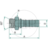 PNB 50 AGR 2