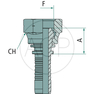 PN 06 DKM M10x1.0