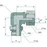 WAE 1/4 FS-BSP x 1/8 M-BSP
