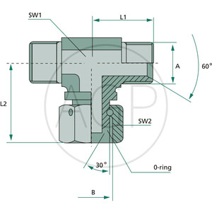 TA 1/2 M-FS-M-BSP