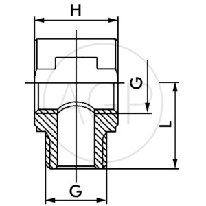 F-TEV-M5-MSv T-kus