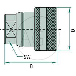 Faster samice vnitřní závit 1/2" BSP DN 10