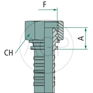 PN 12 DKR 1/2" DS