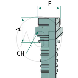 PN 12 AGORF 13/16" DS