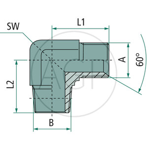 WA 1/2 M-BSP x 1/2 M-NPT