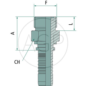 PN 06 AGORF 9/16"