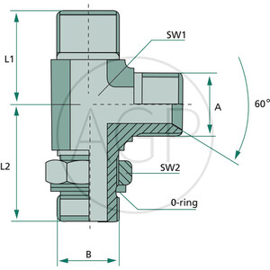 LAE 3/4 M-BSP x 1/2 M-BSP