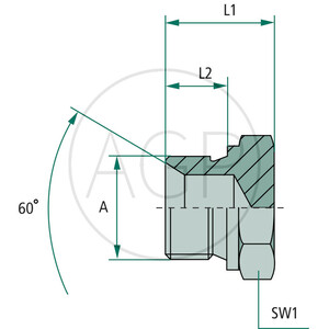 EV 1/2 M-BSP