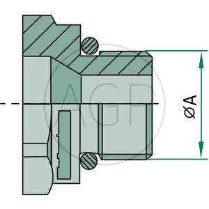 Samice AG 7/8" UNF Schott