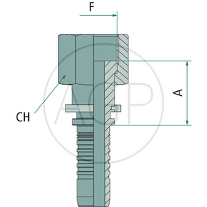 PN 06 DKORF 9/16"