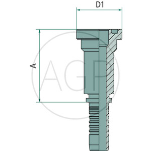 PN 12 SFS 3/4"