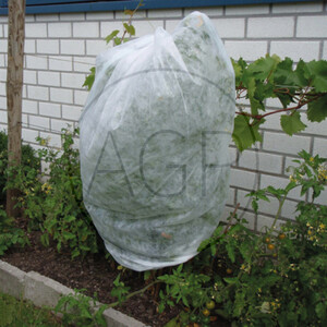 Textílie na ochranu rajčat a rostlin před mrazíky